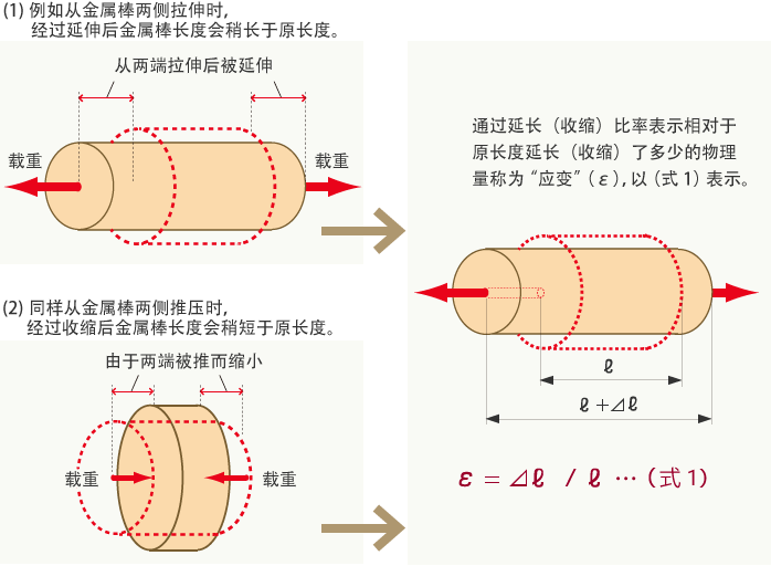 何谓应变?