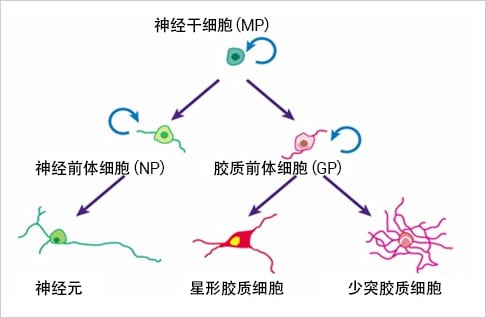 图片:冈野先生研究室的主题之一……