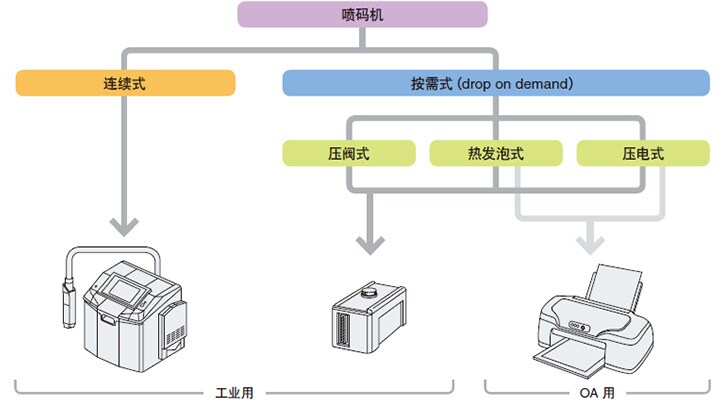 基本分类
