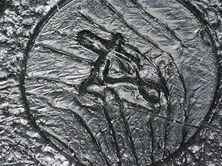 全方位多功能照明(100×)