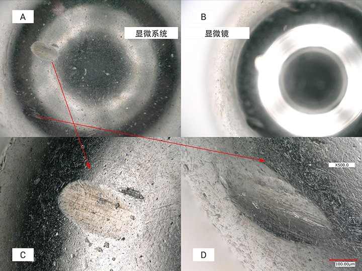 A:用数码显微系统进行观察 B:用显微镜进行观察 C:近侧面的凹陷观察 D:远侧面的凹陷观察(500×)