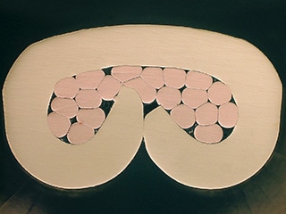 拍摄图像(100×)