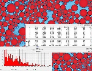 皮肤及毛发的观察、测量、评估