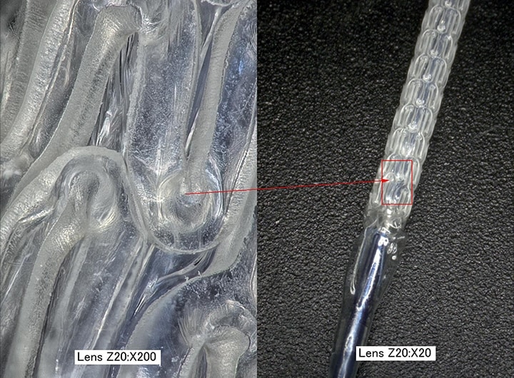 生物可降解性扩张导管支架的放大图像(左:200×/右:20×)