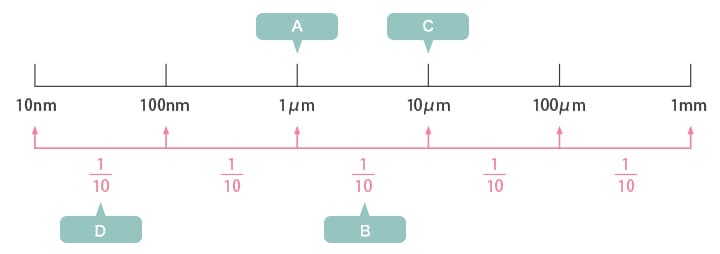 A:细菌 B:真菌 C:人体细胞 D:病毒