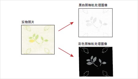 实物照片 > 黑白照相机处理图像 / 彩色照相机处理图像